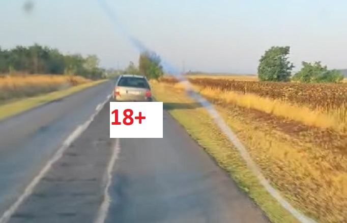 95 km/h-val húzott egy autójához kötött kutyát
