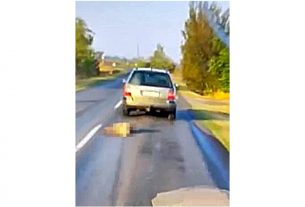 Állatkínzó Tiszaalpár és Kiskunfélegyháza között