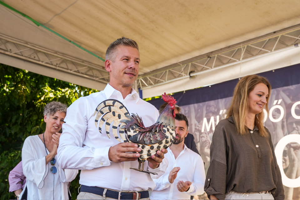 Magyar Péter kiskakas