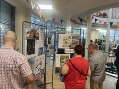 "Képregényes körutazás Belgiumban” - izgalmas kiállítás nyílt Debrecenben