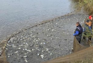 Haltelepítés Hajdú-Bihar megyében