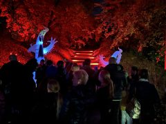 Halloween a debreceni Vidámparkban