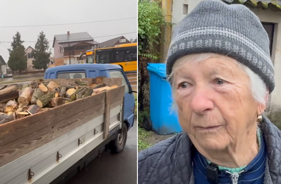 Terike néni tűzifa bocskaikert