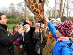 Vöröskereszt gyerekekkel a debreceni állatkertben
