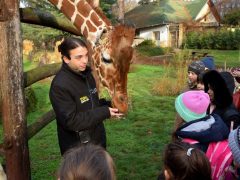 Vöröskereszt gyerekekkel a debreceni állatkertben