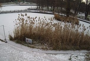 Esett egy kis hó Debrecenben, de nem sokáig marad velünk