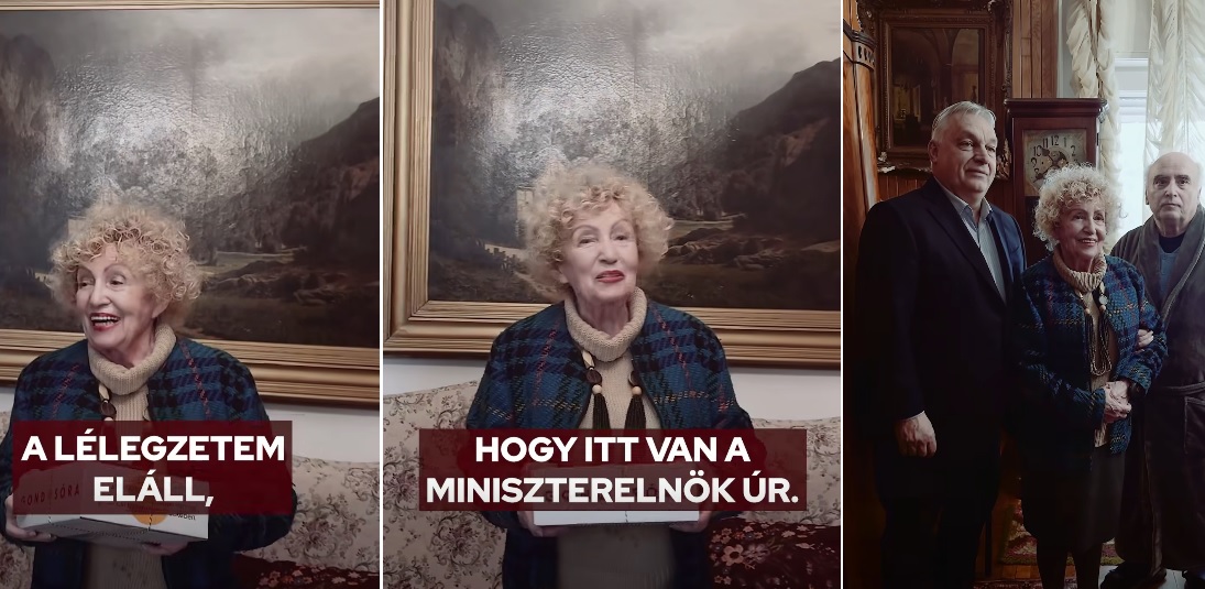 Ildikó néni gondosóra