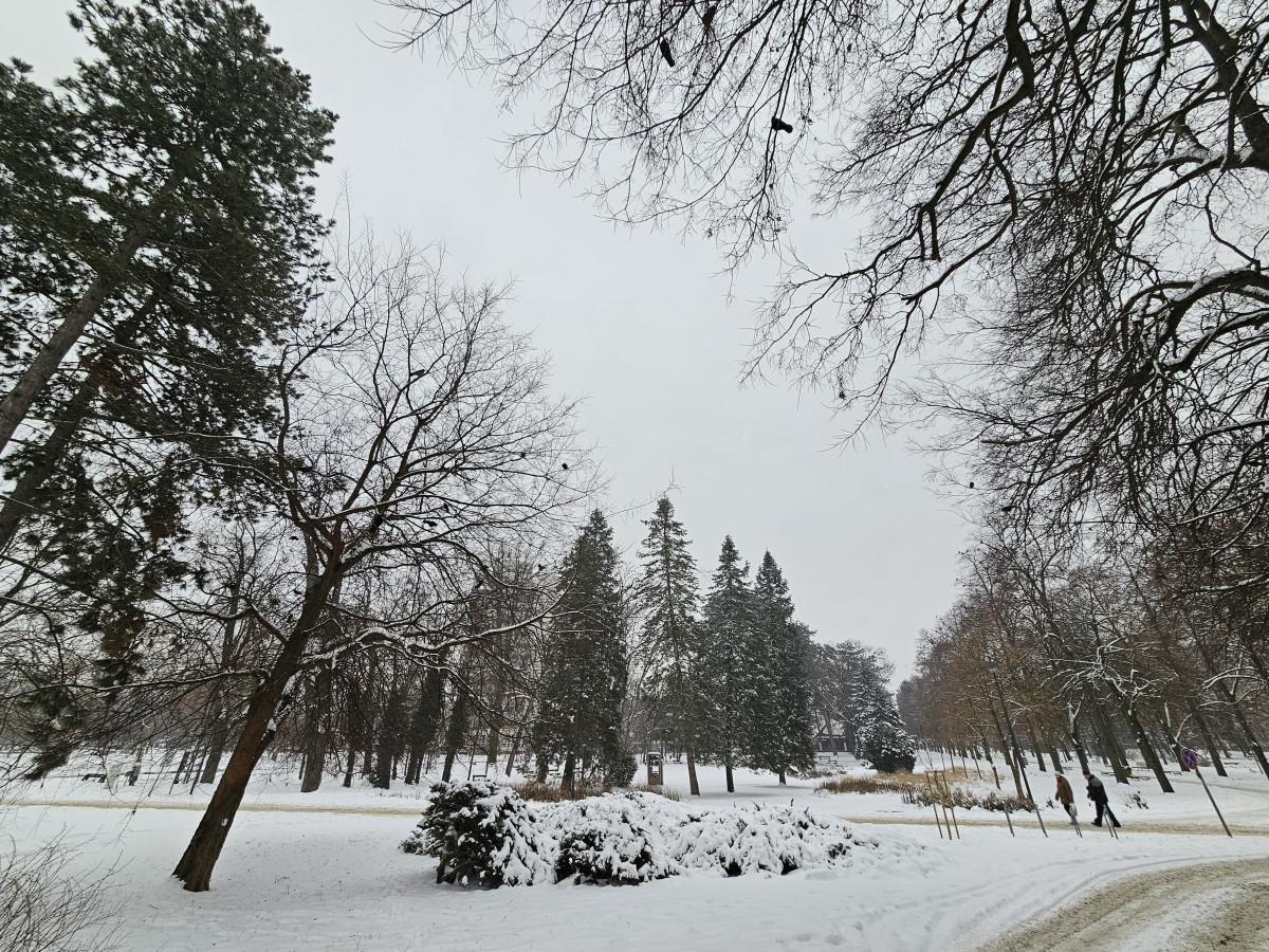 Hideg, tél Debrecen