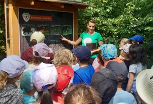 Nagyerdei Erdészeti Erdei Iskola