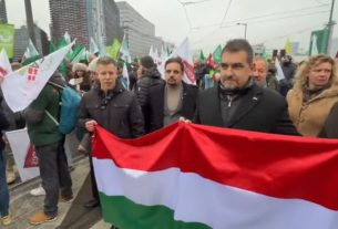 Magyar Péter a strasbourgi gazdatüntetésen