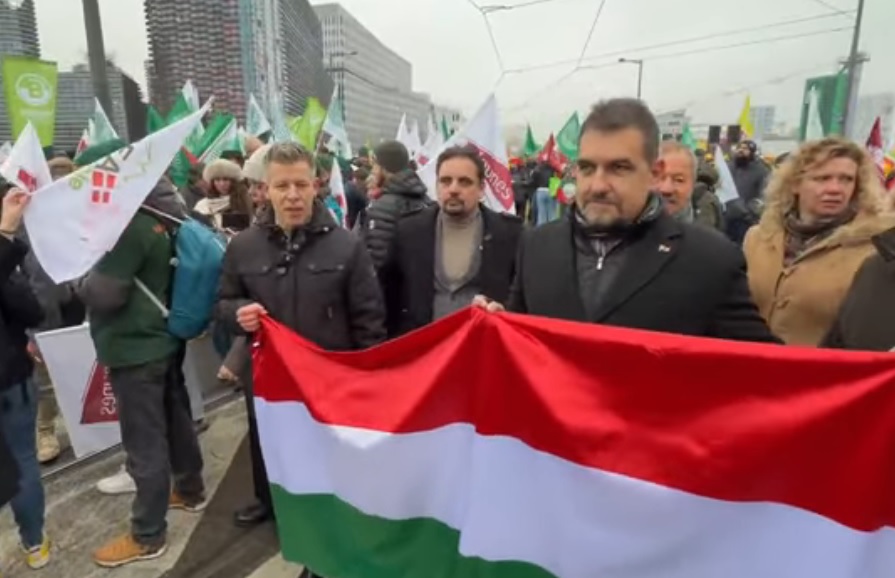 Magyar Péter a strasbourgi gazdatüntetésen