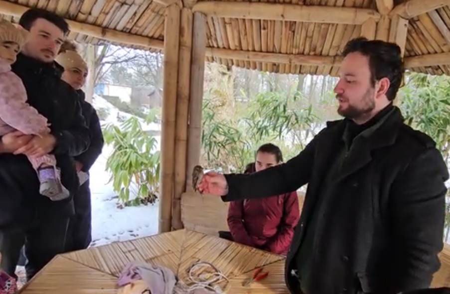 Madárgyűrűzés a debreceni állatkertben