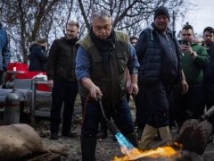 Orbán Viktor disznótoron