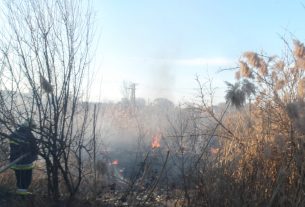 Szabadtéri tűz, avartűz