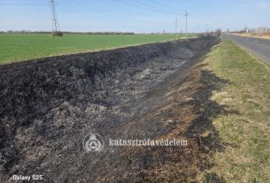 Harmincöt hektár égett le Egyeken
