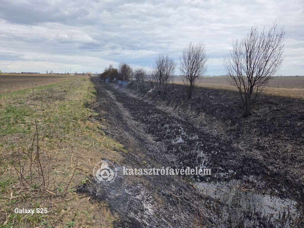 Nádas égett Kaba mellett