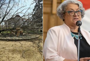 Fa dőlt Hajdúdorog jelképére, Göröghné Bocskai Éva szerint a kormányváltás lesz a helyreállítás kulcsa