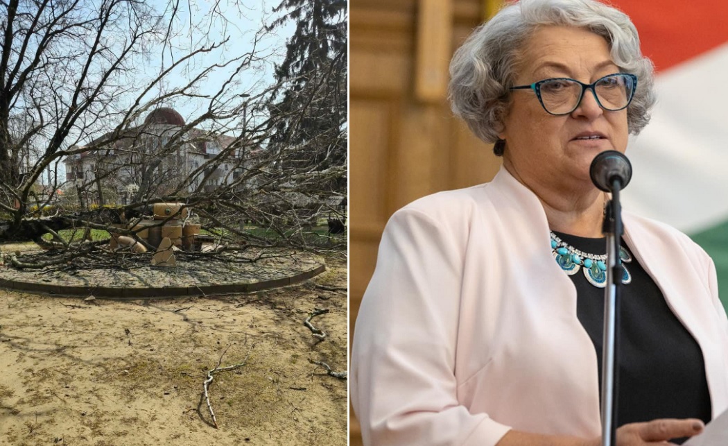 Fa dőlt Hajdúdorog jelképére, Göröghné Bocskai Éva szerint a kormányváltás lesz a helyreállítás kulcsa