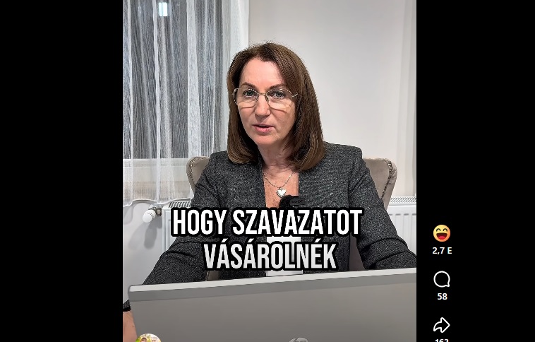 Rizsák Ildikó szavazatvásárlás