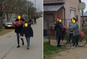 Választási krumpliosztás