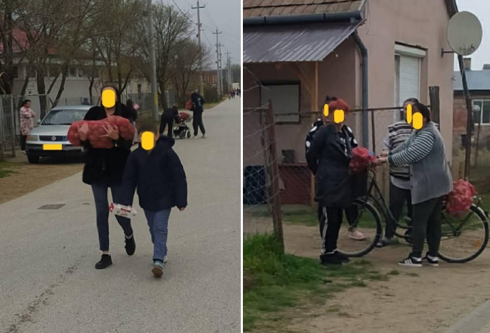 Választási krumpliosztás