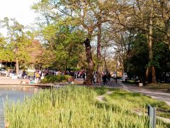 Tárkányi Zsolt dedikálja a plakátjait Debrecenben