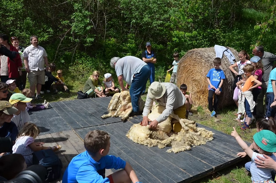 Hortobágyi gyapjúfesztivál