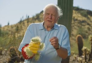 Sir David Attenborough 100 éves