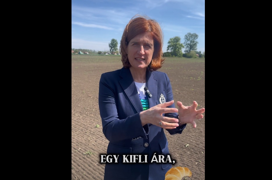 100 forint egy telek Hajdúnánáson