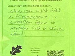 Élőlánccal és piknikkel védték a nyíregyháziak a Sóstói-erdőt