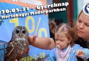Gyereknapi programkavalkád a Hortobágyi Madárparkban