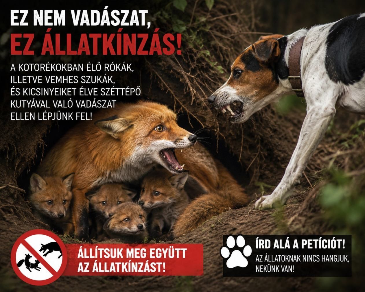 Petíciót indítottak a "kotorékozás" néven futó állatkínzás ellen