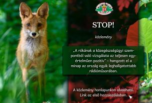 A vadászkamara és a kotorékozás