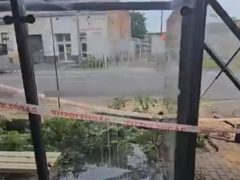 Fa dőlt egy buszmegállóra Debrecenben